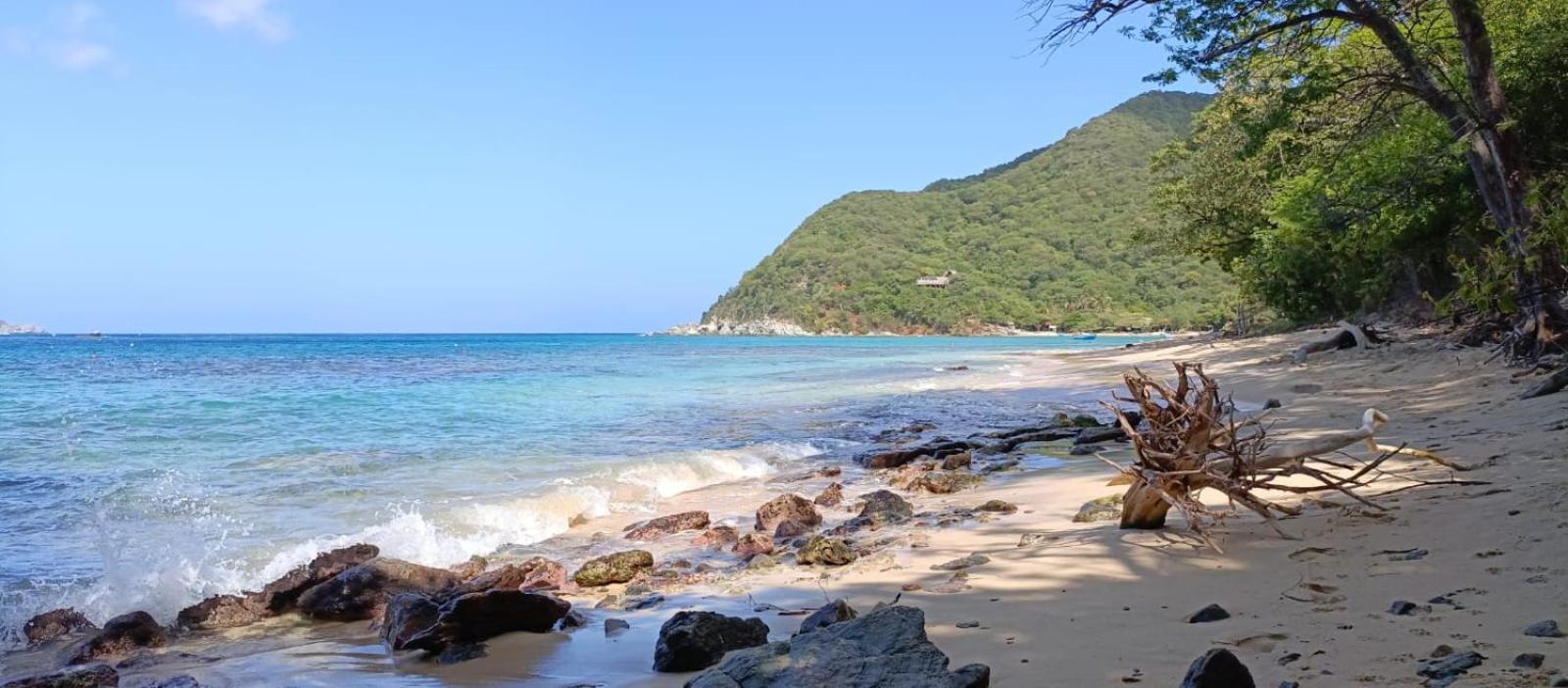 מלון Nenguange Mirador Playa Cristal Tayrona מראה חיצוני תמונה
